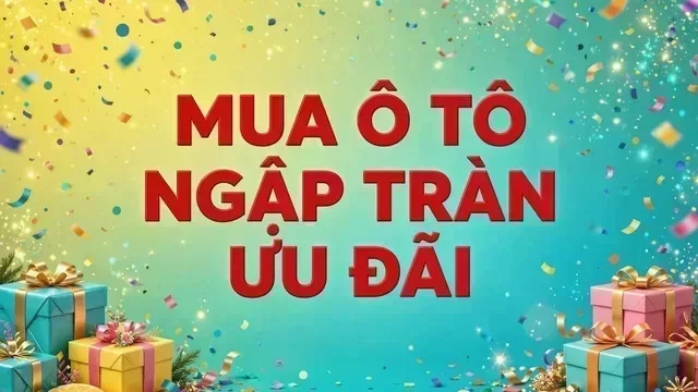 Địa điểm hỗ trợ xem xe tại Long An